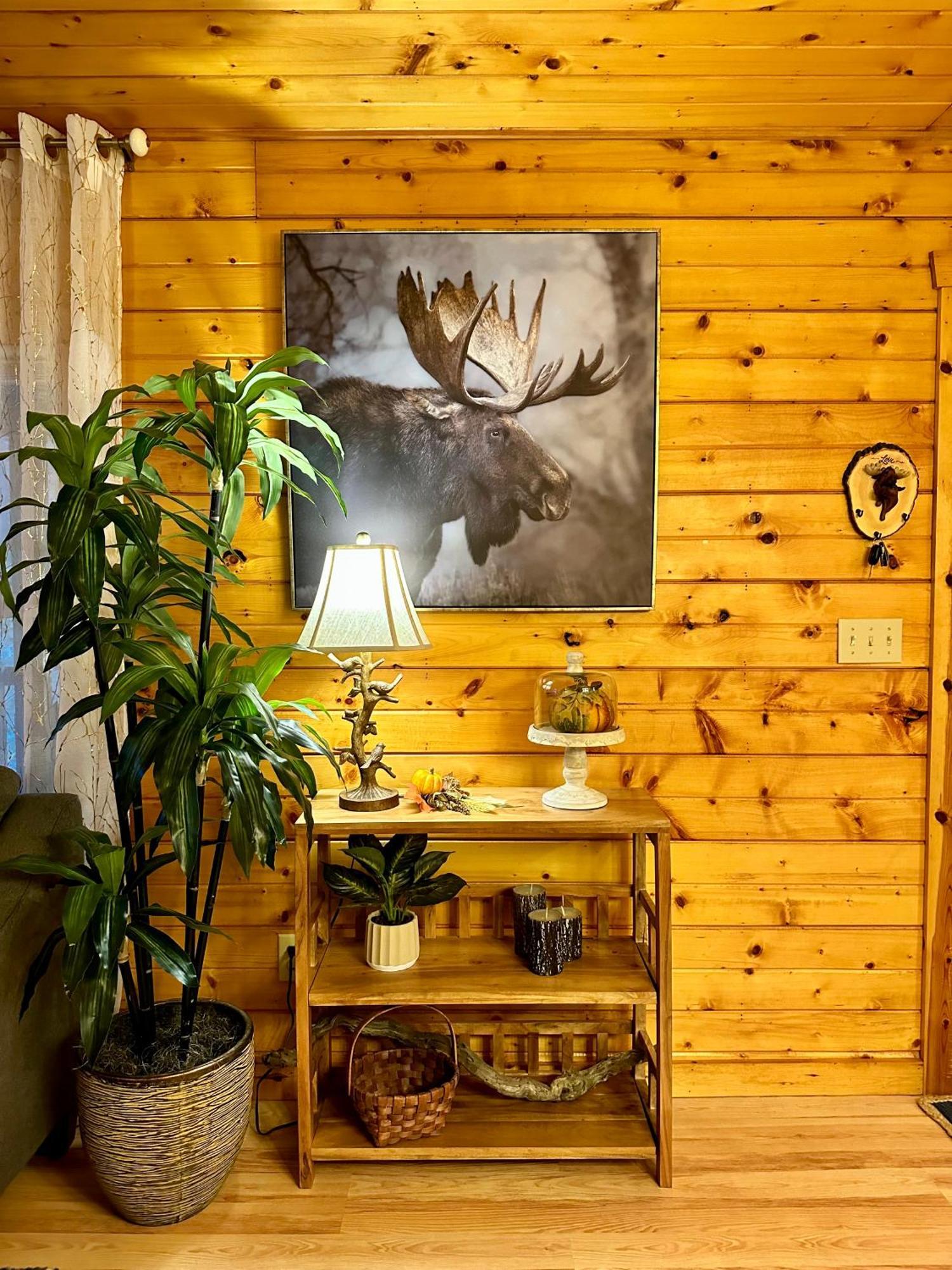 Cozy Cabin In Red River Gorge Rogers Eksteriør billede